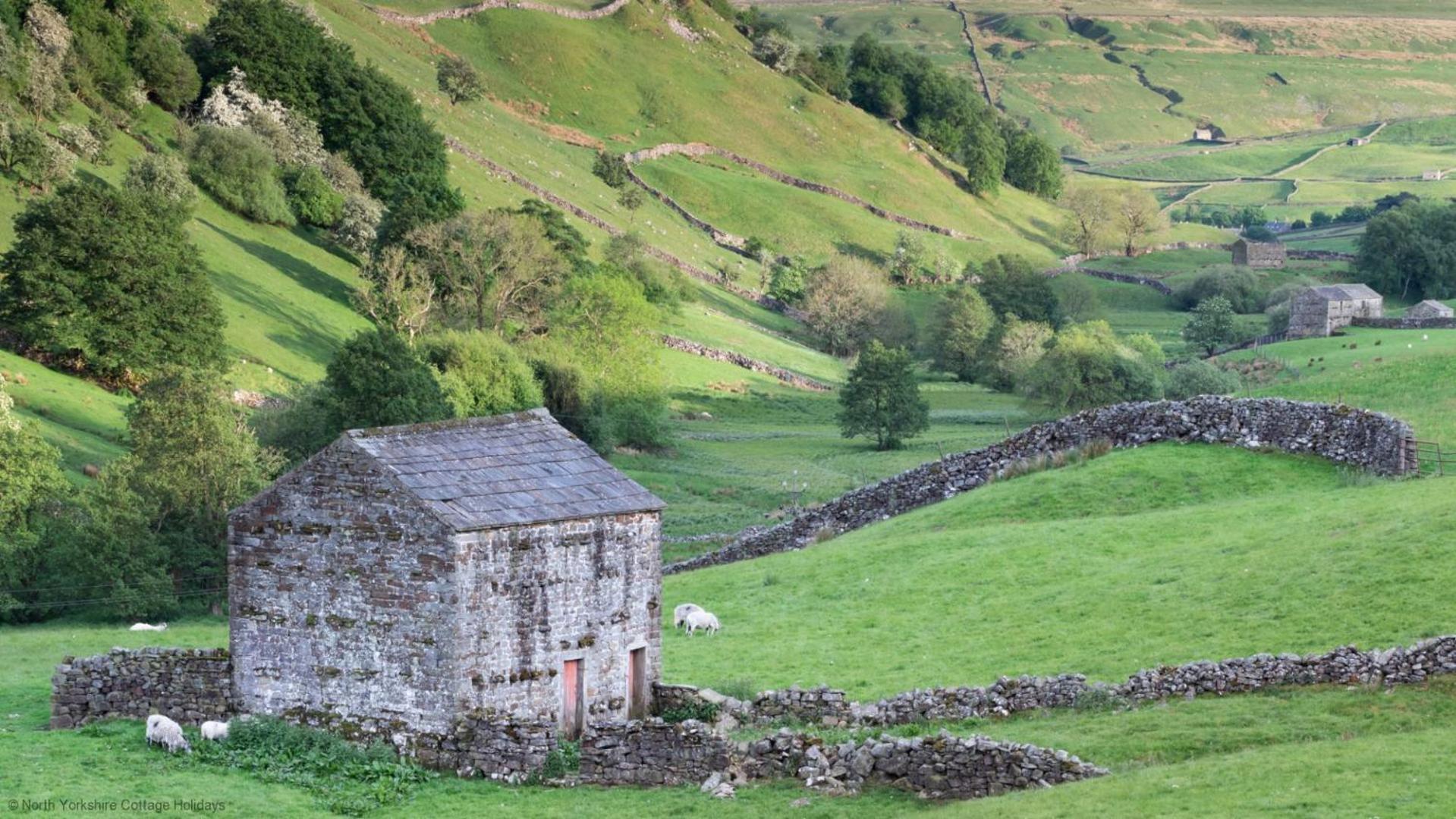 Picturesque Stone Cottage In The Heart Of North Yorkshire Village - Hideaway Cottage Экстерьер фото